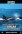Mitos e Verdades sobre as Orcas &#8211; Baleias Assassinas
