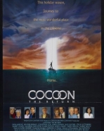 Coccon - O Regresso