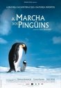 Marcha dos Pingüins, A