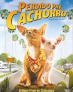 Perdido Pra Cachorro