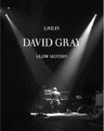 David Gray – Live in Slow Motion